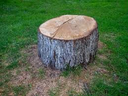 Best Lot and Land Clearing  in Vista Center, NJ